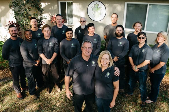 Terry's Tree Service Sarasota FL