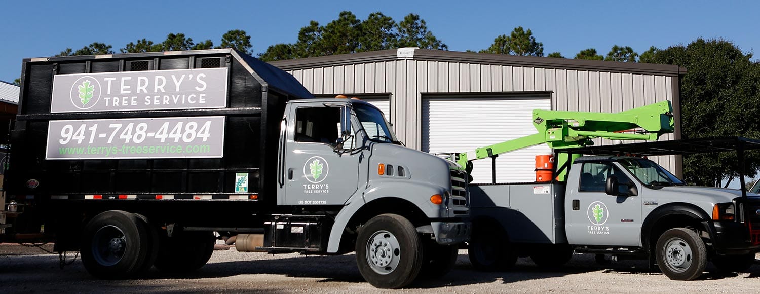 Fleet of Terry's Tree Service Trucks