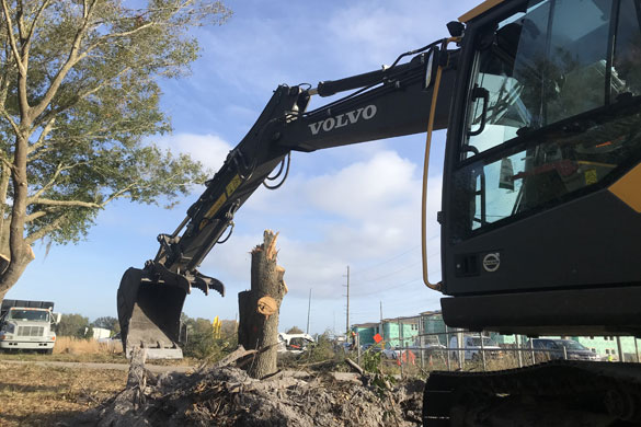 Land Clearing, Grubbing Sarasota FL