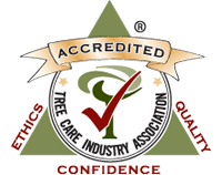 TCIA Accredited