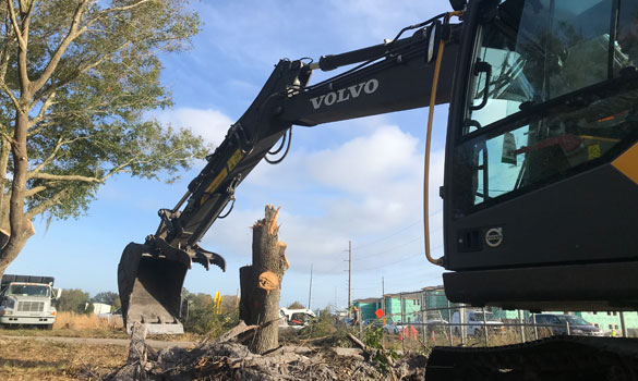 Land Clearing & Grubbing