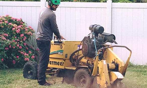 Stump Grinding